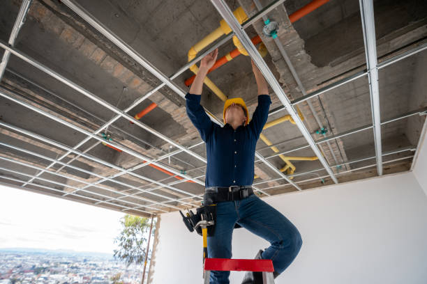 Best Residential Plumbing Services  in Osakis, MN